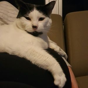 Meet your Posher, Christina